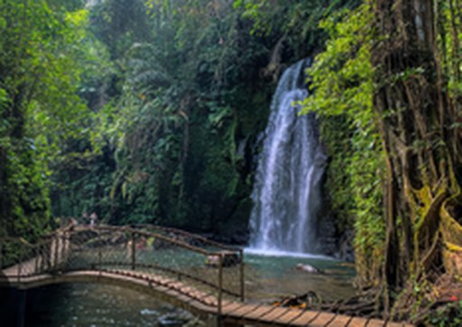 Ulu Petanu Waterfall surrounded by jungle
